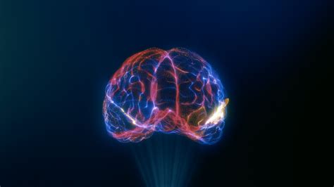 brian brain tumour app|BRIAN: The groundbreaking brain tumour app .